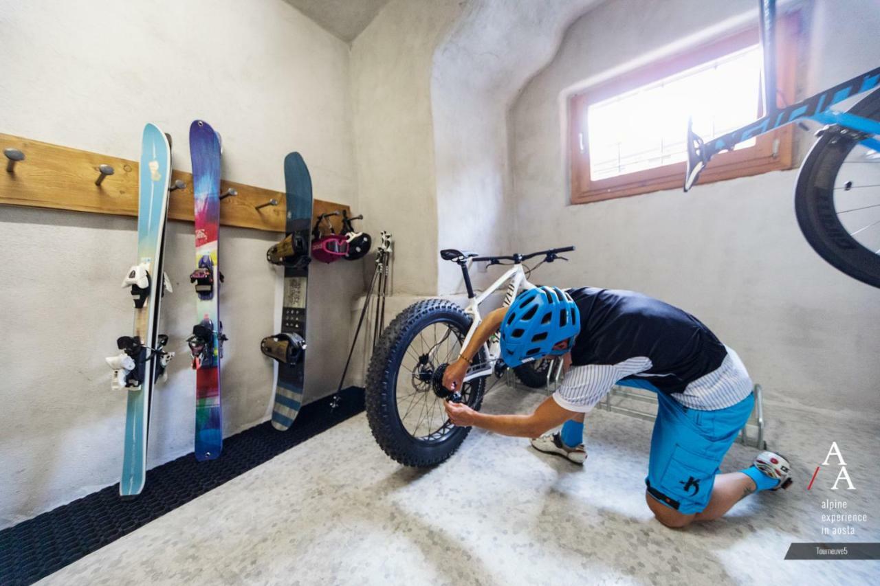 Alp Apartments Ski & Bike - Tourneuve5 Aosta Exterior foto